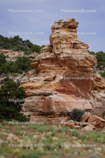 Gnarled Sandstone Rock Formations, Geoforms