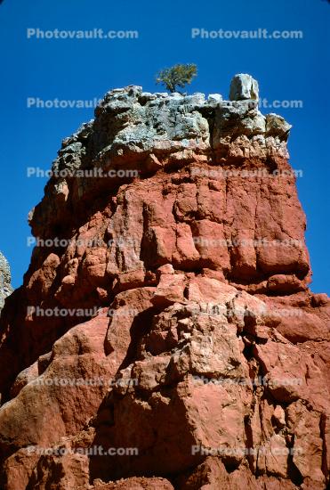 Lone Tree at the Top, Twisted Layered Shapes, HooDoo, Spire