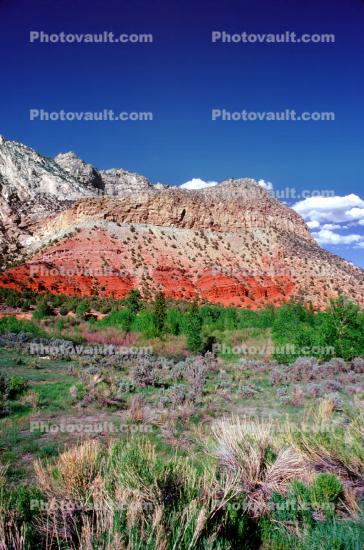 Mountain and shrubs, Flaming Gorge National Recreation Area, Daggett County