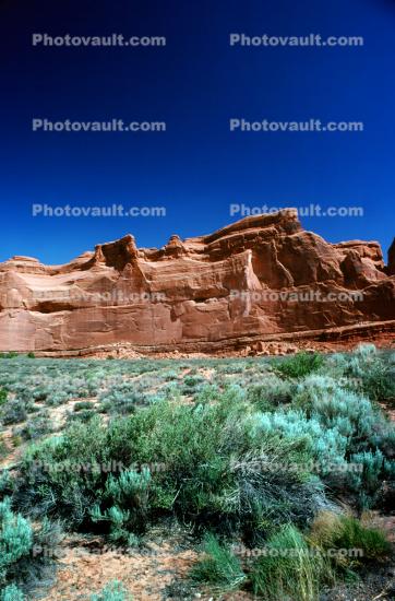 Sandstone Cliff, stratum, strata, layered, sedimentary rock, scrub brush, bush
