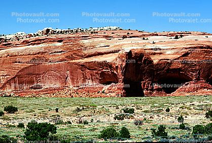 Canyonlands National Park, Sandstone Cliff, trees, stratum, strata, layered, sedimentary rock