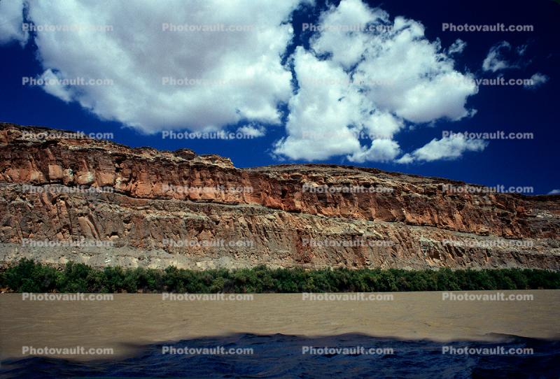 Cumulus Puffy Clouds, Colorado River, Water, trees, Sandstone Cliff, stratum, strata, layered, sedimentary rock, silt, mud, muddy