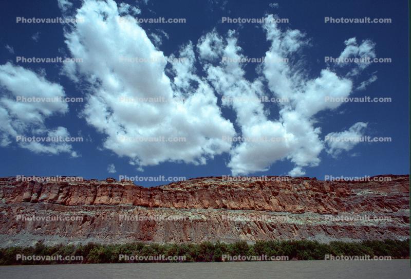 Cumulus Puffy Clouds, Colorado River, Water, trees, Sandstone Cliff, stratum, strata, layered, sedimentary