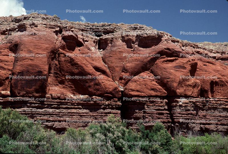Canyonlands National Park, Sandstone Cliff, trees, stratum, strata, layered, sedimentary rock, stratified layers, geology, geological formations