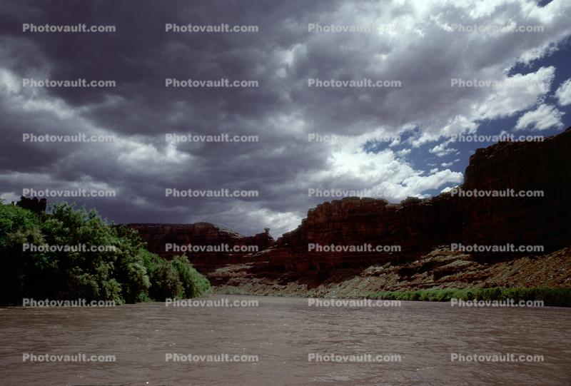 Colorado River, Water, clouds, trees, silt, mud, muddy