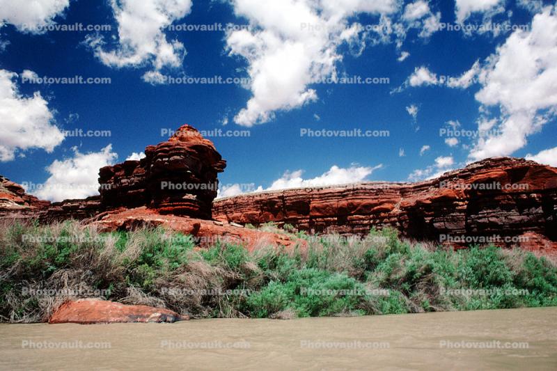 Colorado River, Trees, water, clouds