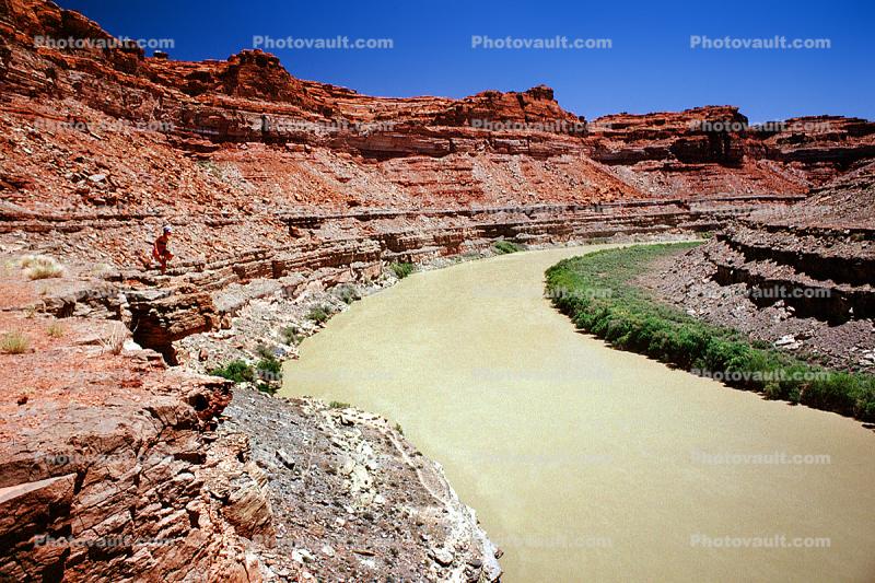Colorado River, Sandstone Cliff, trees, stratum, strata, layered, sedimentary rock, silt, mud, muddy, Canyonlands National Park