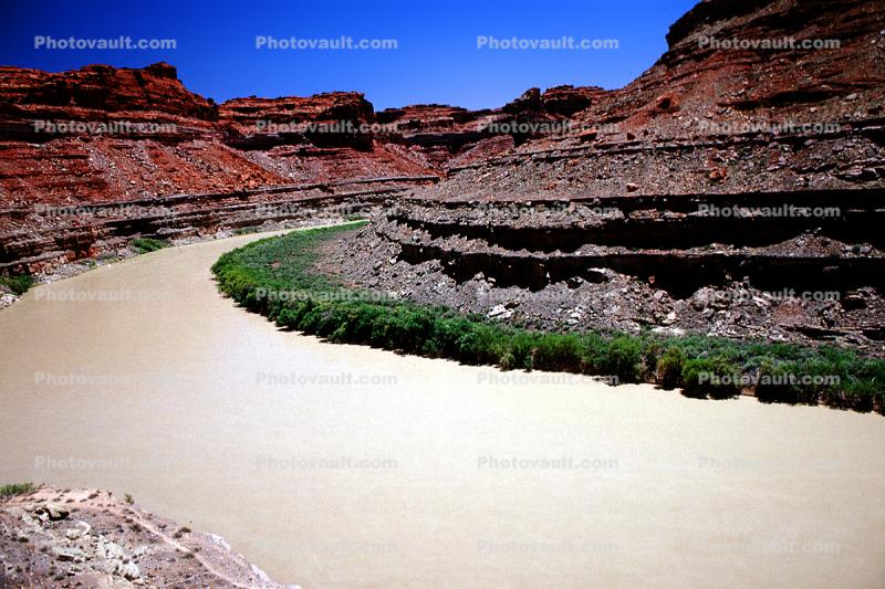Colorado River, Canyonlands National Park, Sandstone Cliff, trees, stratum, layered, sedimentary rock