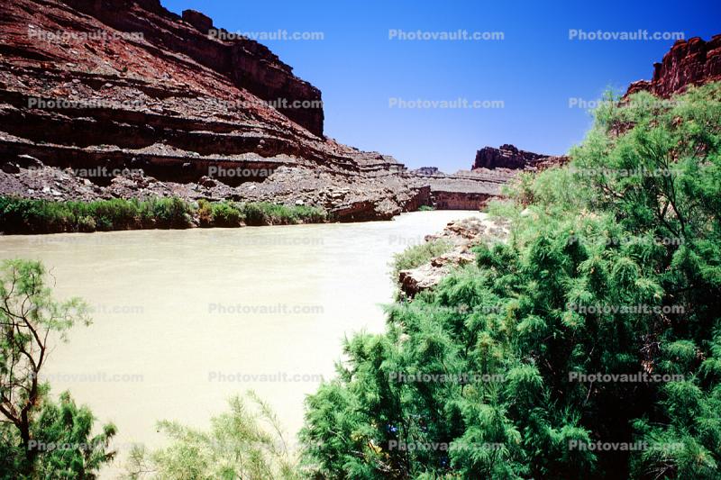 Colorado River, Silt, Mud, Muddy Water, Trees, Layers, Sedimentary Rock