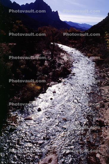 Virgin River, Zion National Park