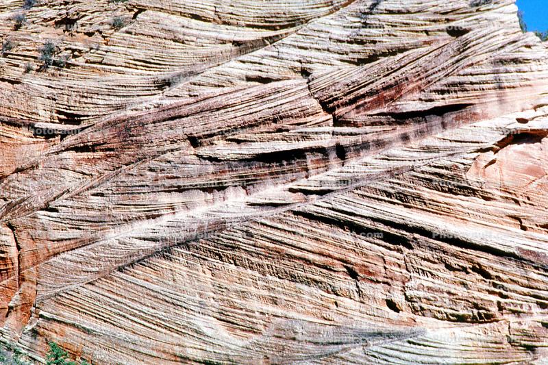 Checkerboard Mesa, Sandstone Cliff, Zion National Park