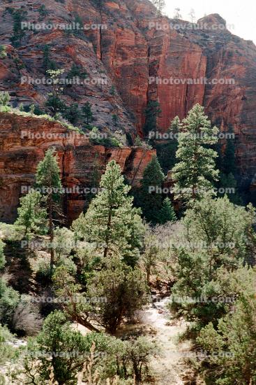 Sandstone Cliff, Trees, Woodland, Valley