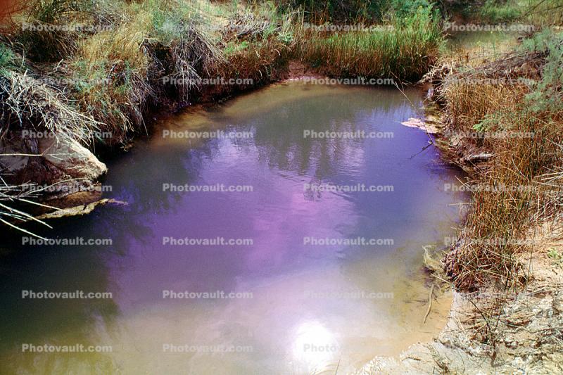 Ephemeral Pools, Water, Arches National Park, Pond