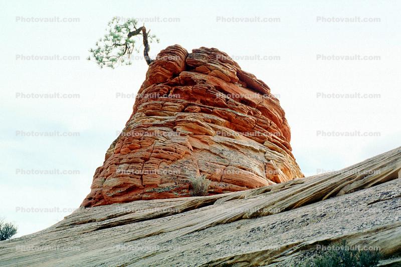 Sandstone knob outcropping, Lone Tree, butte, Equanimity
