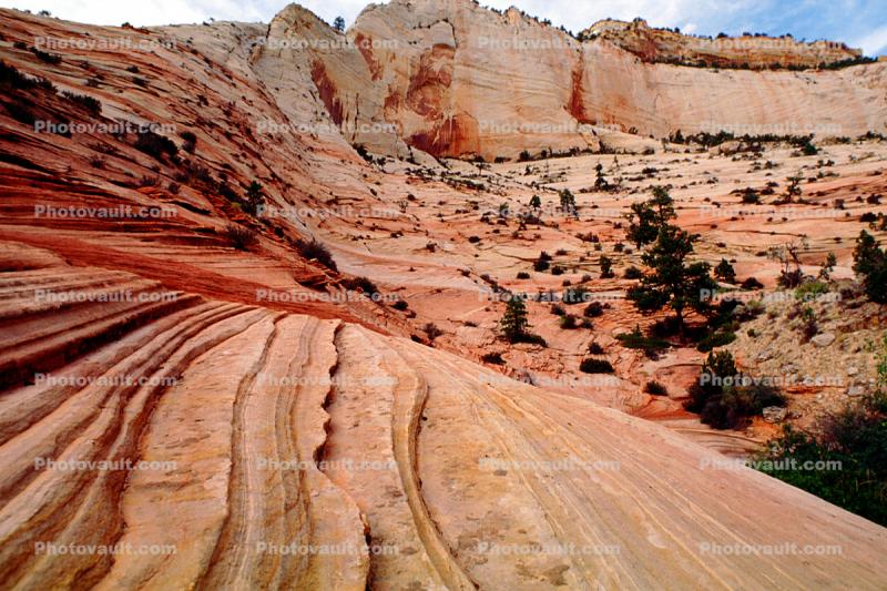 Valley, Sandstone Cliff, trees, stratum, strata, layered, sedimentary rock, stratified layers, geology, geological formations