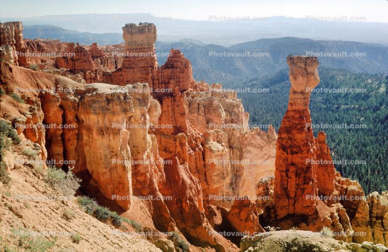 the sandstone as the stone stands, columns, strata, forest, Hoodoo, outcropping, Spire, Sandstone