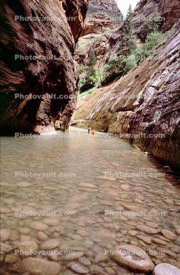 Virgin River, Pebbles, Zion National Park, Sandstone Cliffs