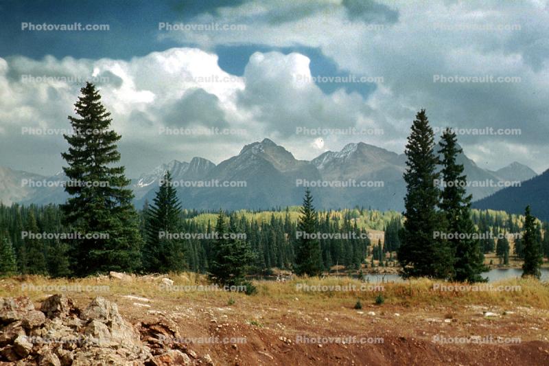 Mountains, Clouds, Trees, Forest