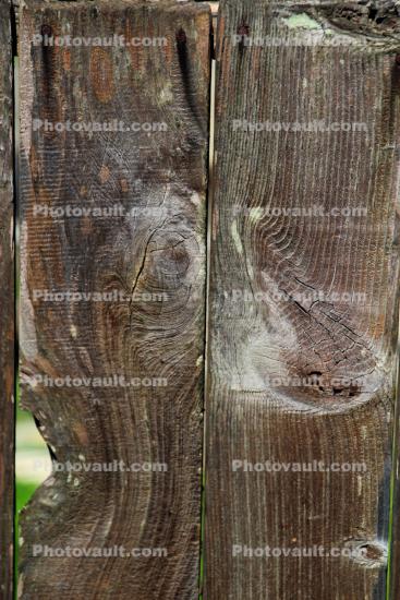 Horse Face in Wood fence, Pareidolia, Dino the Dinosaur