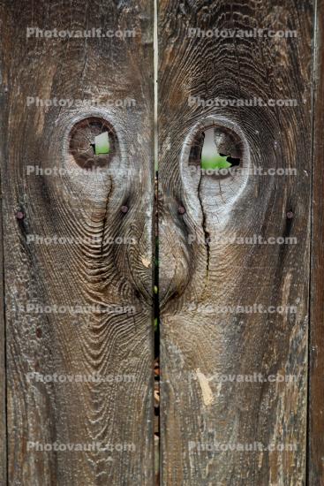 Funny Big Nose in Wood, Wood Texture Face, eyes, grain, Pareidolia