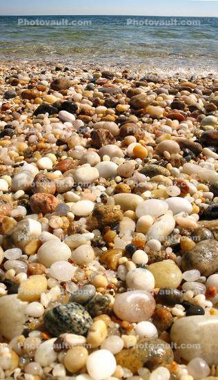 Shells, Beach, Rocks, Pebbles, Orient Point, Long Island, New York, Wet, Liquid, Water