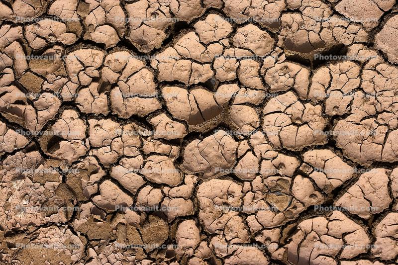 dry mud, Cracks, Cracked, interstices, transition, Arid, Drought, Dry, Dessicated, Parched, Dirt, soil, dried mud, cracked earth, Craquelure