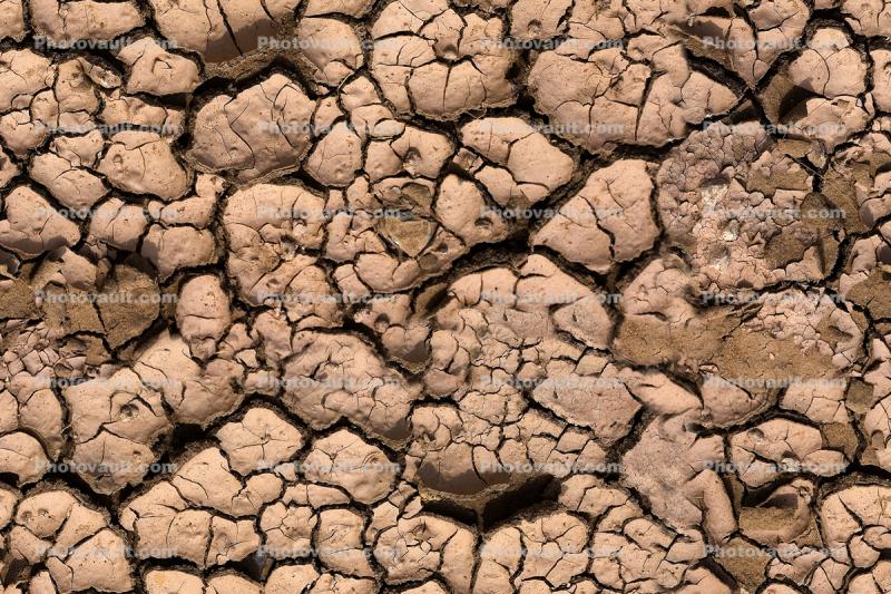 Dry Cracked Mud, dry mud, Cracks, Cracked, interstices, transition, Arid, Drought, Dry, Dessicated, Parched, Dirt, soil, dried mud, cracked earth, Craquelure