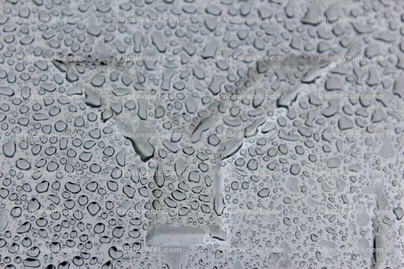Letter Why, Y, Water Drops on a car