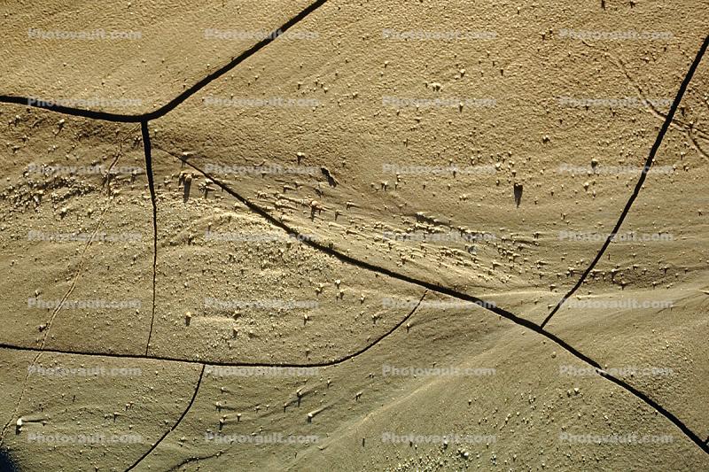 Cracks, Dirt, Contraction, Snail Trails, soil, dried mud, cracked earth