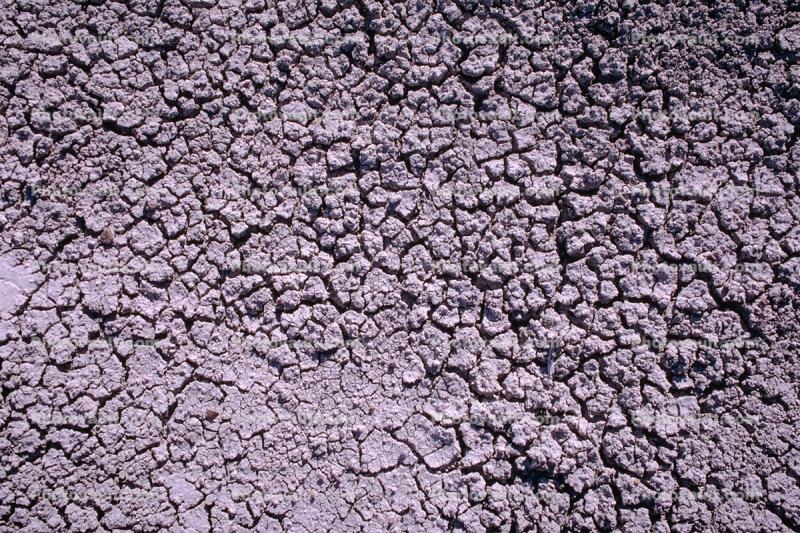 Cracked, Dirt, Earth, Dry, Arid, Drought, Dessicated, Parched