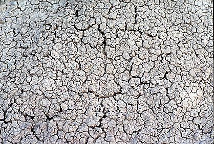 Cracks, Interstices, Cracked, Dirt, Earth, Dry, Arid, Drought, Dessicated, Parched, Craquelure