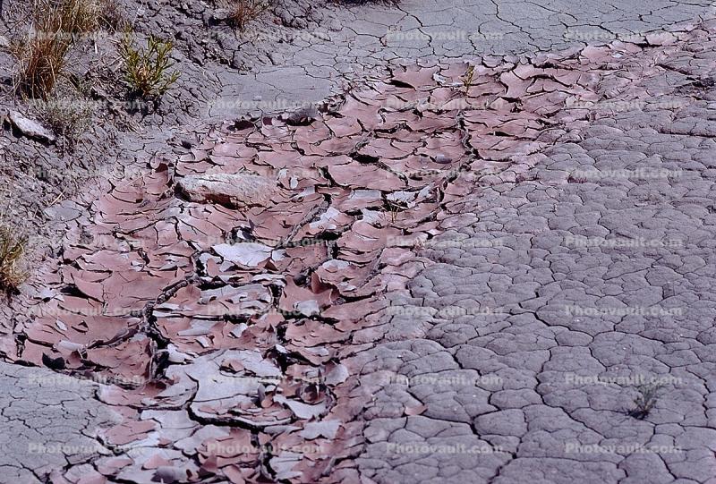 Cracks, Interstices, Cracked, Dirt, Earth, Dry, Arid, Drought, Dessicated, Parched, Craquelure