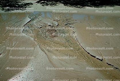 Mud, erosion, sand, sandy, water, wet, beach