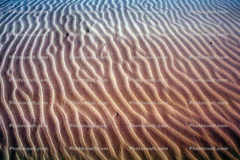 Ripples, Coral Pink Sand Dunes fractals, State Park, Utah, Wavelets