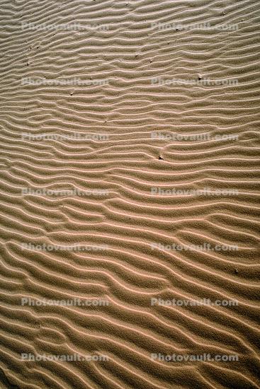 Ripples, Coral Pink Sand Dunes State Park, Utah, Wavelets