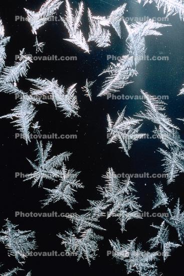 Ice Crystals in window
