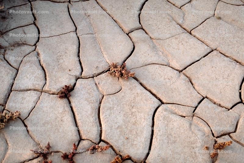 Earth, Dirt, Dry, Mud, Cracks, Cracked, Arid, Drought, Dessicated, Parched, Craquelure