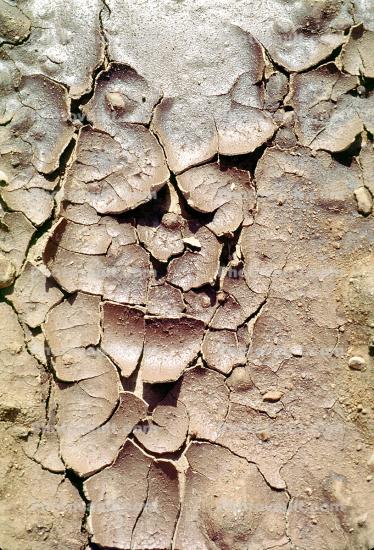 Mud, Dry, Dirt, Cracked, split, Arid, Drought, Dessicated, Parched, Craquelure