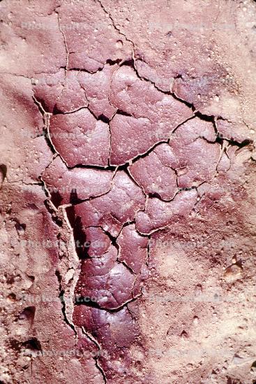 Cracked, Dirt, Earth, Dry, Mud, Wet, split, Arid, Drought, Dessicated, Parched, Craquelure