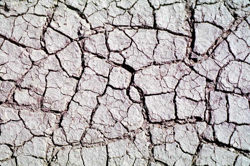 Cracks, Mud, Muddy, Cracked, Dirt, Earth, Dry, Arid, Drought, Dessicated, Parched, Craquelure