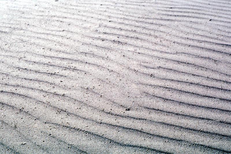 Sand, Ripples, Wavelets