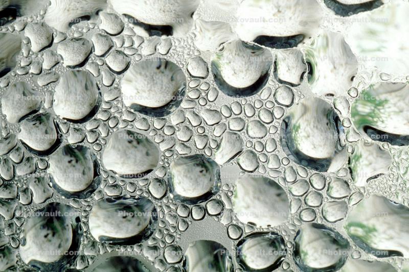Dew Drops, Water, Liquid, Wet