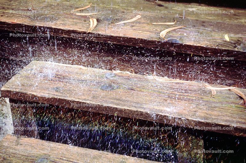 Rain, Steps, Wood