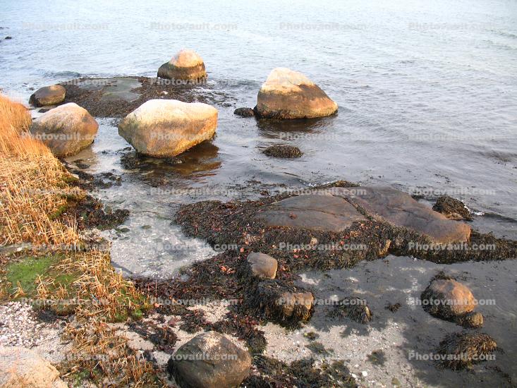 Wet Rocks, Water, low tide, seaweed, boulders, Tidepools, salty tide pools