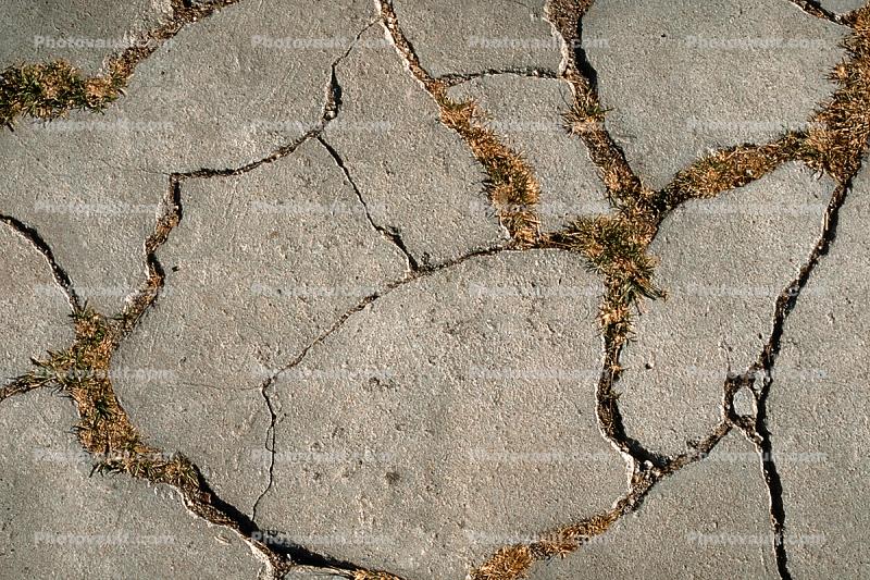 cracked concrete sidewalk, Craquelure