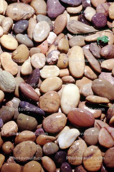 Wet Rocks, Pebbles, seashore