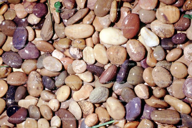 Wet Rocks, Pebbles, seashore