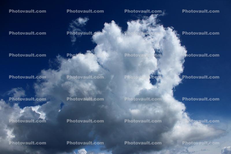 reaching for the sky, Cumulus Cloud