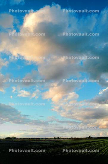 daytime, daylight, Sunset, Farmfield, Clouds