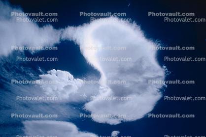 Lenticular Kidney Cloud, Lenticular, daytime, daylight